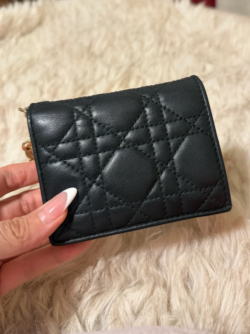 2024 Mini Lady Dior Gardenia Compact Wallet